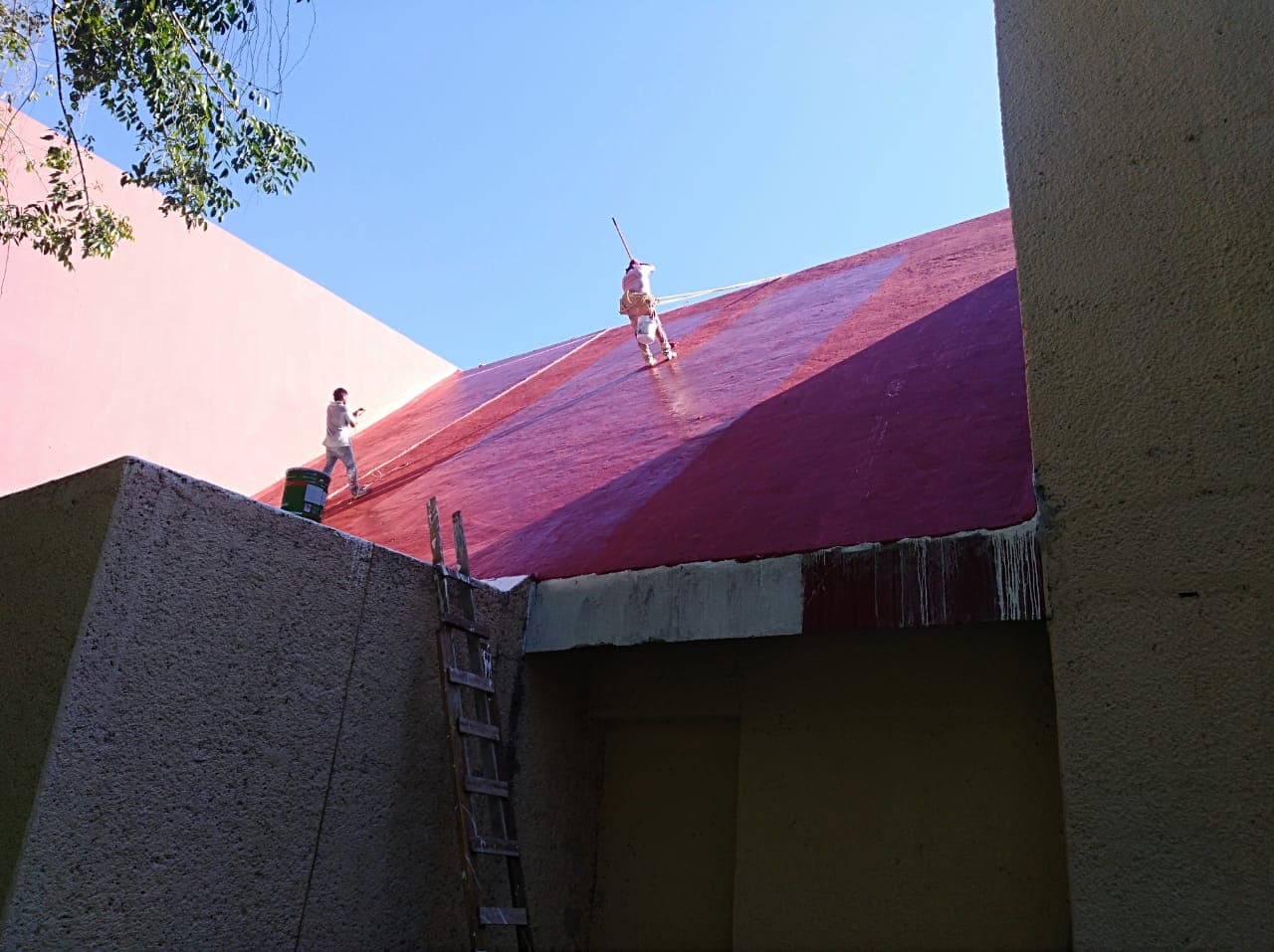 Proyecto AJAKA — IMG-20190225-WA0117