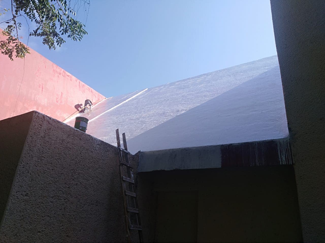 Proyecto AJAKA — IMG-20190225-WA0133